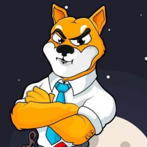 Cryptoholic team mokymai (Visi įrašai)